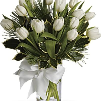 <ul id="tabs-pdp" class="nav nav-tabs" data-tabs="tabs">
 	<li id="descriptionTab" class="active"><a href="https://www.teleflora.com/bouquet/tulips-and-pine?prodID=P_T12Z114A&skuId=T12Z114A&zipMin=&showAllSkus=true#description" data-toggle="tab">DESCRIPTION</a></li>
 	<li id="sizesTab"><a href="https://www.teleflora.com/bouquet/tulips-and-pine?prodID=P_T12Z114A&skuId=T12Z114A&zipMin=&showAllSkus=true#sizes" data-toggle="tab">SIZES</a></li>
</ul>
<div id="tabs-pdp-content" class="tab-content">
<div id="description" class="tab-pane fade active">
<div id="mark-3" class="m-pdp-tabs-marketing-description">Give a gift of simple winter beauty. Send a bouquet of white tulips that are as pure as fresh-fallen snow, accented with just a touch of fragrant white pine. It's the essence of the season, captured in a vase.</div>
</div>
</div>